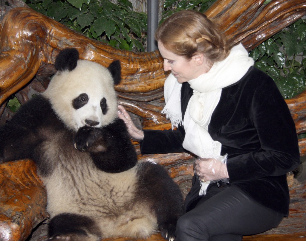 E’ l’ora della “diplomazia del panda” tra Cina e Francia