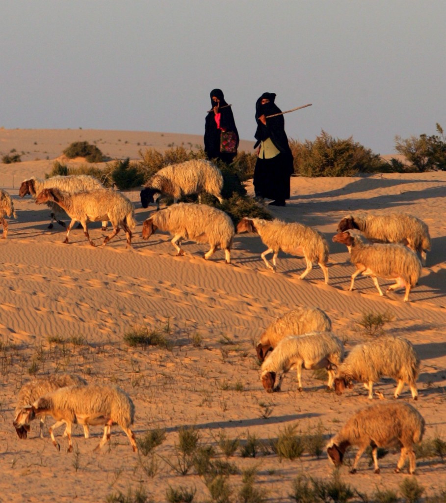 Beduini nel deserto del Sinai
