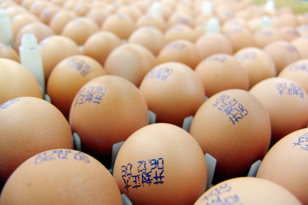 Inchiesta sulle uova sospette in Cina