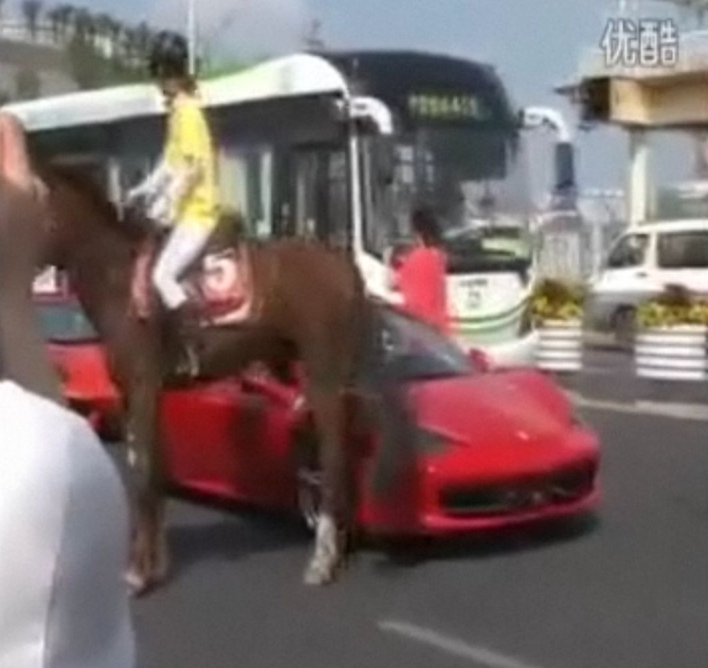 il cavallo mentre scalcia contro la Ferrari