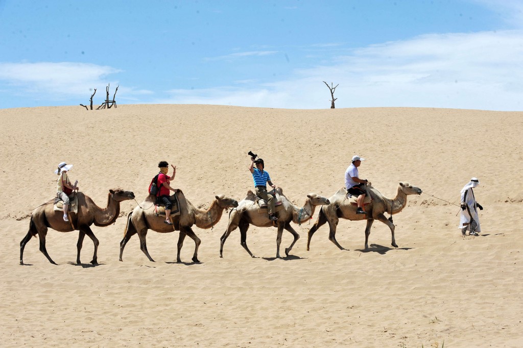 Una gita a passo di cammello nel Ningxia