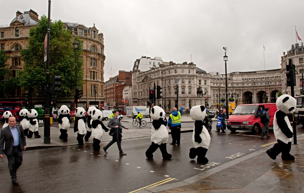 I panda invadono Londra per la Panda Awareness Week (PAW = zampa)