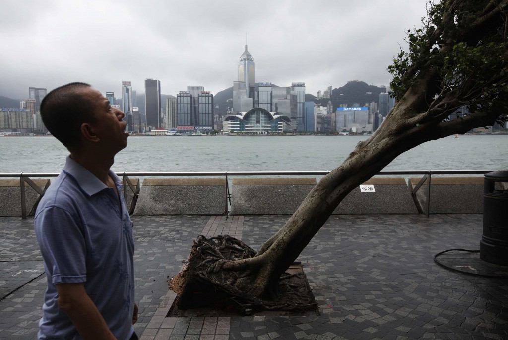 Un uomo osserva un albero sradicato dal tifone Vicente a Hong Kong
