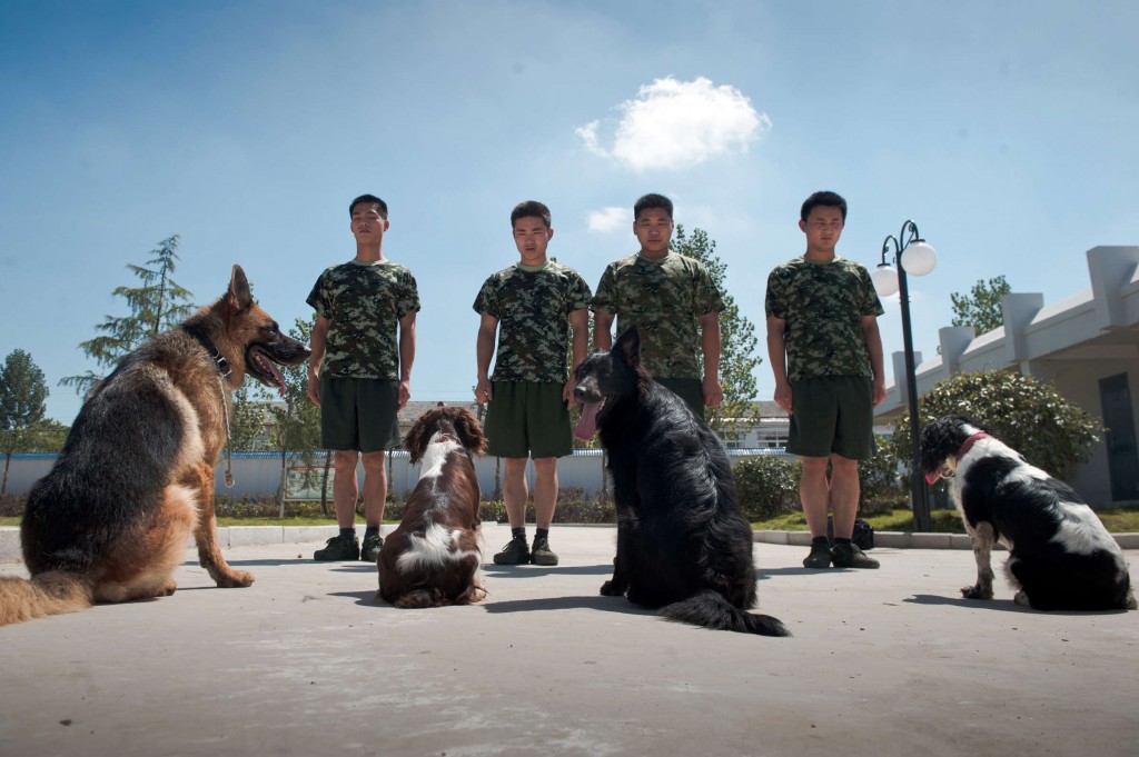 I cani e i loro addestratori nella base di Hefei