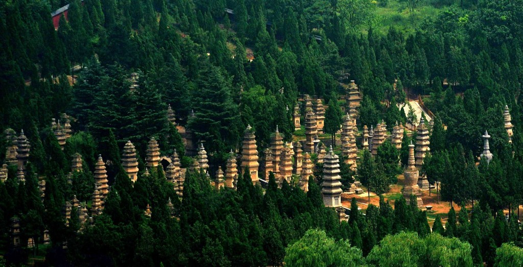 La foresta di pagode del tempio shaolin di Zhengzhou