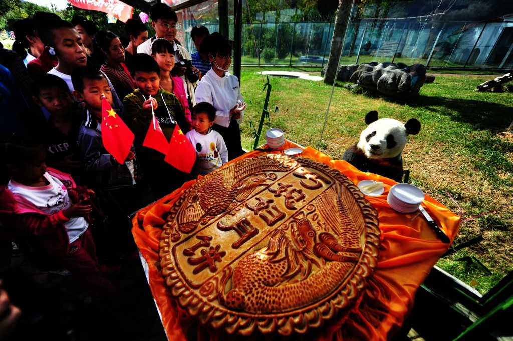 Una gigantesca “torta della luna” per i panda dello zoo di Yantai
